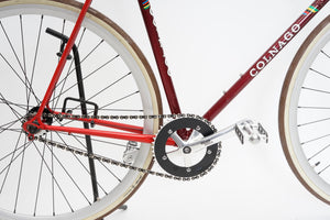 Colnago Replica - Fixed gear / Single-speed | Newly Added