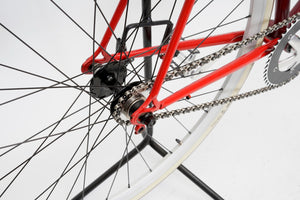 Colnago Replica - Fixed gear / Single-speed | Newly Added