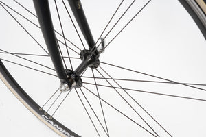 Prorace | Newly Added