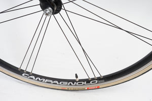 Prorace | Newly Added
