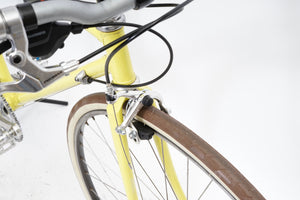 Olmo | Newly Added