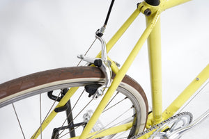 Olmo | Newly Added