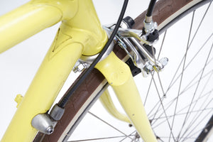Olmo | Newly Added