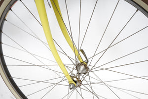 Olmo | Newly Added