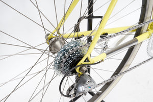 Olmo | Newly Added