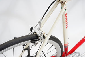 Giant Peloton Superlite (single-speed) | Newly Added