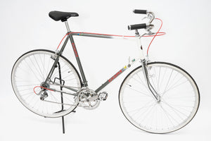 Giant Pacer | Newly Added