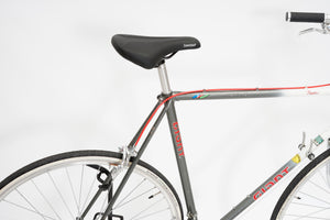 Giant Pacer | Newly Added