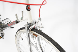 Giant Pacer | Newly Added