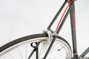 Giant Pacer | Newly Added