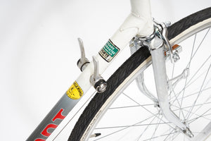 Giant Pacer | Newly Added