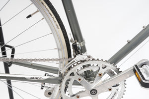 Giant Pacer | Newly Added