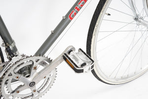 Giant Pacer | Newly Added