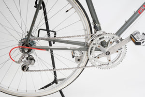 Giant Pacer | Newly Added