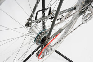 Giant Pacer | Newly Added