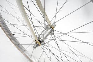 Champion (single-speed) | Newly Added