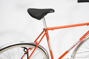 Treblig (coaster single-speed) | Newly Added