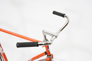 Treblig (coaster single-speed) | Newly Added