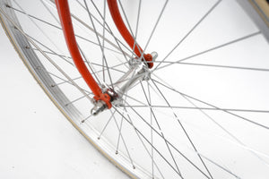 Treblig (coaster single-speed) | Newly Added