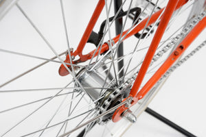 Treblig (coaster single-speed) | Newly Added