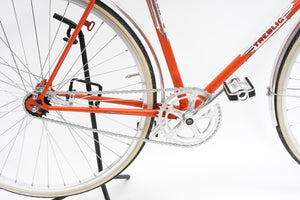 Treblig (coaster single-speed) | Newly Added