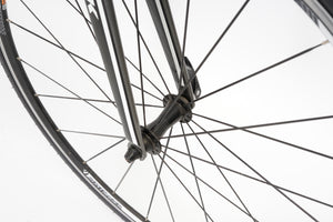Trek Alpha | Newly Added