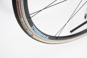 Concorde Stelvio | Newly Added