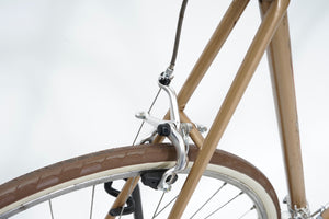 Rees | Newly Added