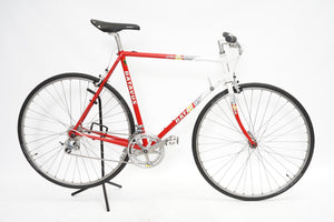 Batavus Course | Newly Added