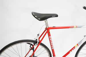 Batavus Course | Newly Added