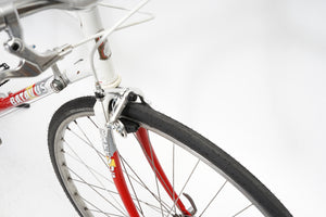 Batavus Course | Newly Added