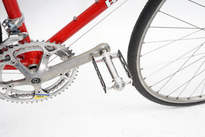 Batavus Course | Newly Added