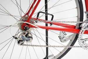 Batavus Course | Newly Added