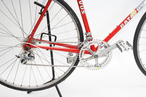 Batavus Course | Newly Added