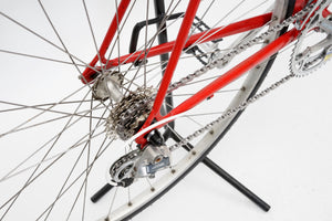 Batavus Course | Newly Added