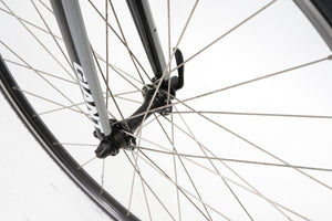 Giant Defy | Newly Added