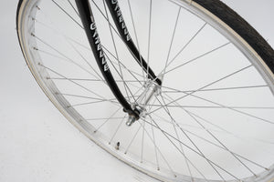 Gazelle Ventoux (single-speed)
