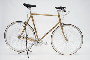 Gazelle Tour Vitesse (single-speed) | Newly Added