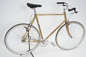Gazelle Tour Vitesse (single-speed) | Newly Added