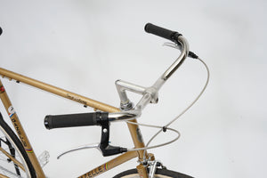 Gazelle Tour Vitesse (single-speed) | Newly Added