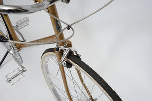 Gazelle Tour Vitesse (single-speed) | Newly Added