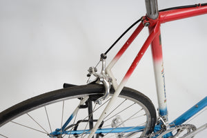 Gazelle Champion Mondial | Newly Added