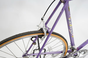 Batavus Challenge