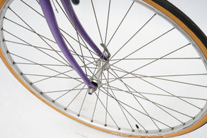 Batavus Challenge