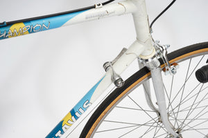 Batavus Champion