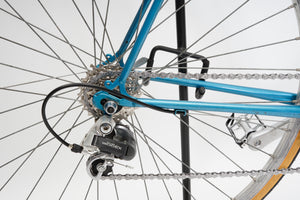 Batavus Champion