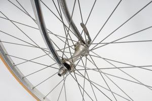 Batavus Champion