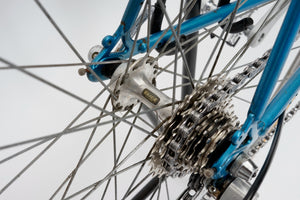 Batavus Champion