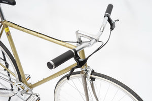 Faggin (single-speed) | Newly Added