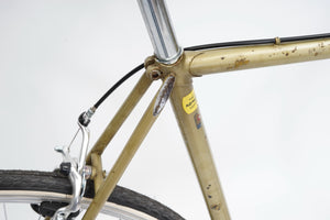 Faggin (single-speed) | Newly Added